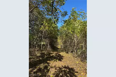 F B Eye Road, Blue Rock, OH 43720 - Photo 1