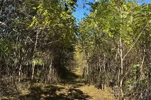 F B Eye Rd, Blue Rock, OH 43720 - Photo 1