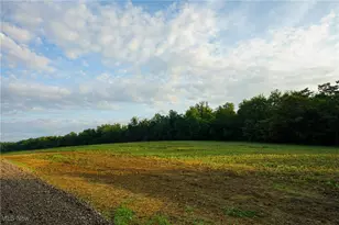 Township Rd 51, Somerset, OH 43783 - Photo 1