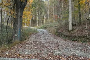 4277 Twin Sisters Rd, Cambridge, OH 43725 - Photo 1