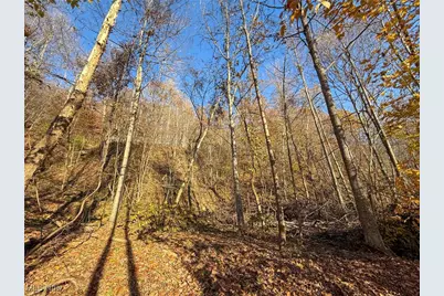 Deaver Rd, McConnelsville, OH 43756 - Photo 1