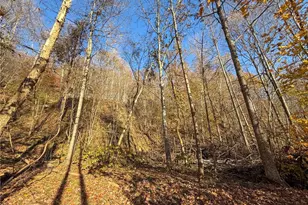 Deaver Rd, McConnelsville, OH 43756 - Photo 1