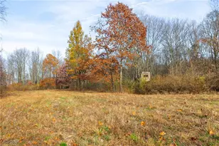 Township Road 1239, Dresden, OH 43821 - Photo 1