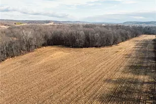 Eddleblute Rd, Frazeysburg, OH 43822 - Photo 1