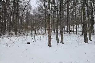 Scott Rd, Stockport, OH 43787 - Photo 1