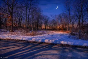 Vl 38th Street SW, Canton, OH 44706 - Photo 1