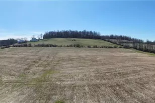 Flat Run Rd, Danville, OH 43014 - Photo 1
