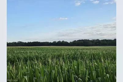 Arbella Road, LaRue, OH 43332 - Photo 1