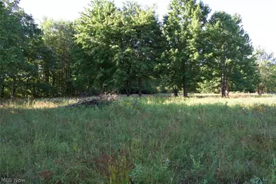 16145 Moseley Road, Thompson, OH 44057 - Photo 1