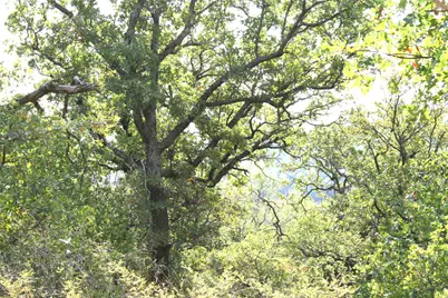 D69 Hensley Road, Gordon, TX 76453 - Photo 5