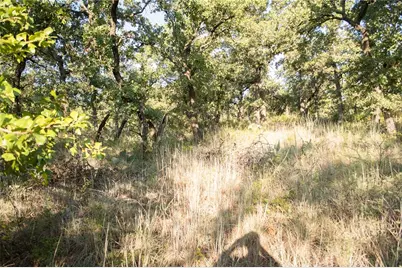 1020 Post Oak Road, Gordon, TX 76453 - Photo 13