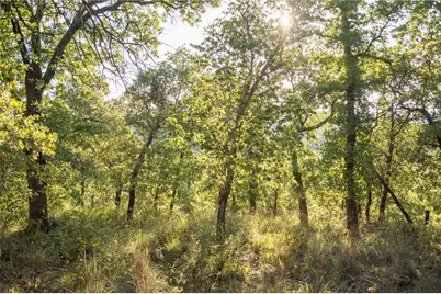 1020 Post Oak Road, Gordon, TX 76453 - Photo 21