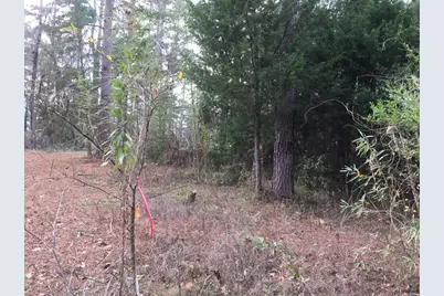 0000 Forest Hill Drive N, Frankston, TX 75763 - Photo 7