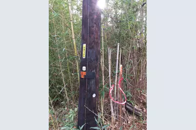 0000 Forest Hill Drive N, Frankston, TX 75763 - Photo 9