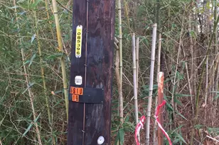 0000 Forest Hill Dr N, Frankston, TX 75763 - Photo 9