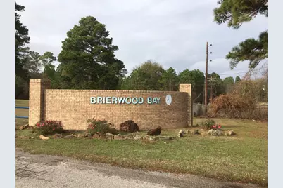 0000 Forest Hill Drive N, Frankston, TX 75763 - Photo 1