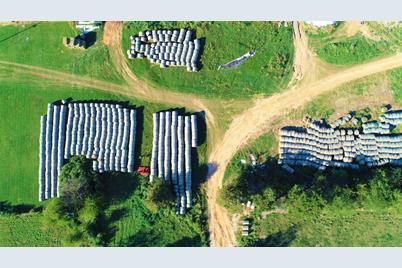 248 County Road 4310, Winnsboro, TX 75494 - Photo 25