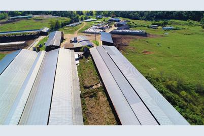 248 County Road 4310, Winnsboro, TX 75494 - Photo 9