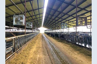 248 County Road 4310, Winnsboro, TX 75494 - Photo 31