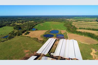 248 County Road 4310, Winnsboro, TX 75494 - Photo 11