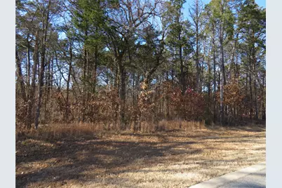 3 Annadale Lane, Gordonville, TX 76245 - Photo 3