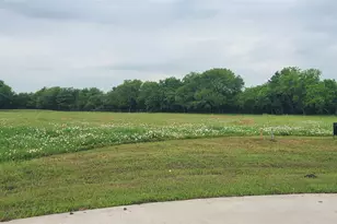 000 Deer Run Trail, Farmersville, TX 75442 - Photo 3