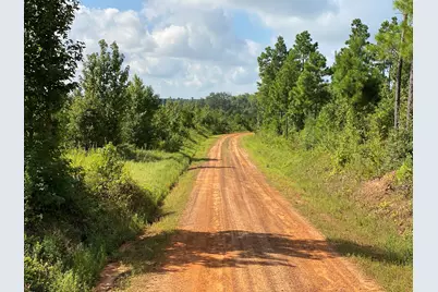 Tbd County Road 394, Tatum, TX 75691 - Photo 5