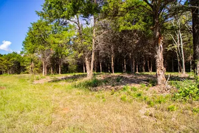 Tbd Cr 4173, Tyler, TX 75704 - Photo 3