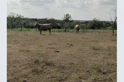 Tbd Hwy 36 E. Tract 2, Jonesboro, TX 76538 - Photo 7