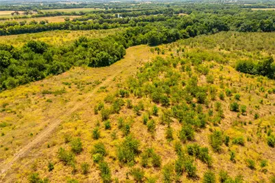 Tbd 37+/- Tract 1 County Road 4526, Randolph, TX 75475 - Photo 9