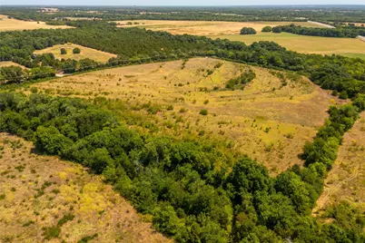 Tbd 37+/- Tract 1 County Road 4526, Randolph, TX 75475 - Photo 13