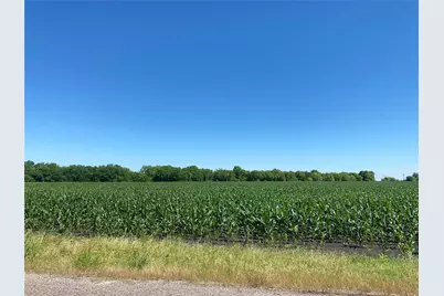 Tbd Cr 637-Lot 1, Nevada, TX 75173 - Photo 7