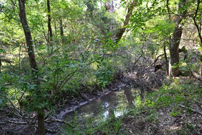 Tract 1 Tbd County Road 2244 Road, Quinlan, TX 75474 - Photo 17