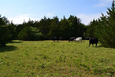 Tract 1 Tbd County Road 2244 Road, Quinlan, TX 75474 - Photo 19