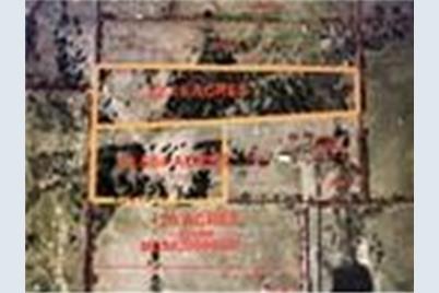 Tract 1 Tbd County Road 2244 Road, Quinlan, TX 75474 - Photo 21