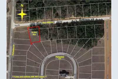 37 Pine Hills Lane, Gordonville, TX 76245 - Photo 11