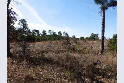 20175 Hwy 155, Flint, TX 75762 - Photo 29