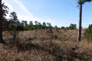 20175 Hwy 155, Flint, TX 75762 - Photo 29