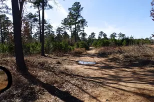 20175 Hwy 155, Flint, TX 75762 - Photo 31