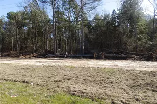 20175 Hwy 155, Flint, TX 75762 - Photo 21