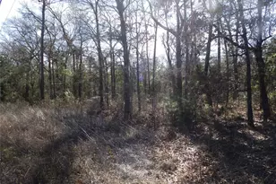 20175 Hwy 155, Flint, TX 75762 - Photo 35