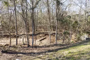 20175 Hwy 155, Flint, TX 75762 - Photo 37