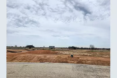 151 Lonicera Lane, Paradise, TX 76073 - Photo 3