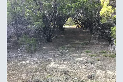 29084 Cedar Hill Dr & Timberwood Drive, Whitney, TX 76692 - Photo 9