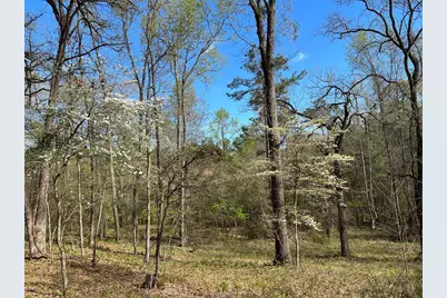 000 County Road 434, Lindale, TX 75771 - Photo 5