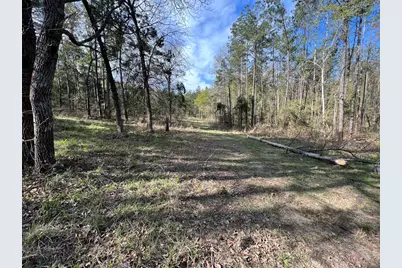 000 County Road 434, Lindale, TX 75771 - Photo 9