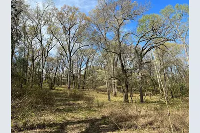 000 County Road 434, Lindale, TX 75771 - Photo 7