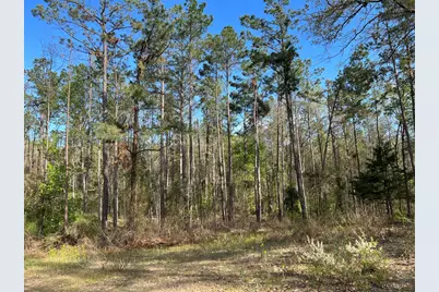 000 County Road 434, Lindale, TX 75771 - Photo 11