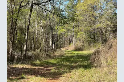 000 County Road 434, Lindale, TX 75771 - Photo 15
