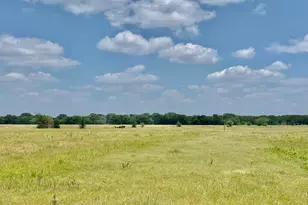 12053 S Hwy 34, Scurry, TX 75158 - Photo 5